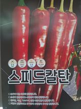 대산농사대장님의 고추·품종•종자 작성글 사진