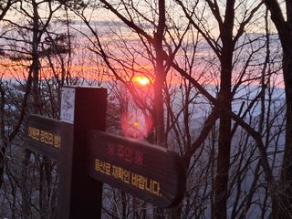 MSG0074님의 자유주제 · 자유게시판 작성글 사진