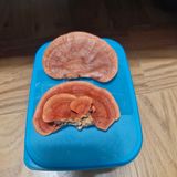 연국흠님의 자유주제·자유게시판 작성글 사진