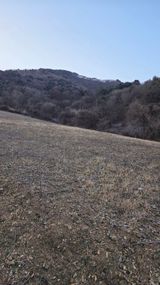 팜모닝 자유주제·자유게시판 게시글 이미지