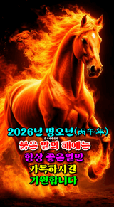 팜모닝 자유주제·자유게시판 게시글 이미지