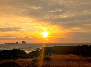 제주 지안이네농장님의 자유주제 · 자유게시판 작성글 사진