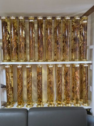 최도윤(중고농기계)님의 자유주제 · 자유게시판 작성글 사진