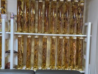 최도윤(중고농기계)님의 자유주제 · 자유게시판 작성글 사진