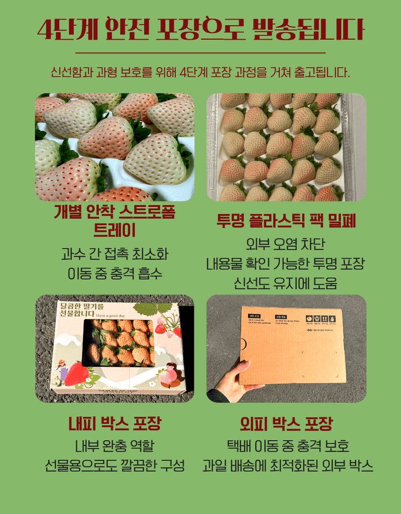 과일팩토리님의 장터 판매 상품 [[프리미엄 화이트딸기] 정품 만년설 딸기 400g/800g] 첨부 사진