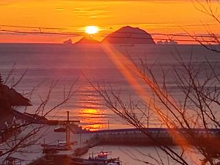 신연주님의 자유주제 · 자유게시판 작성글 사진
