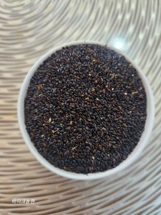 팜모닝회원 바이크농원님의 자유주제 · 자유게시판 작성글 사진