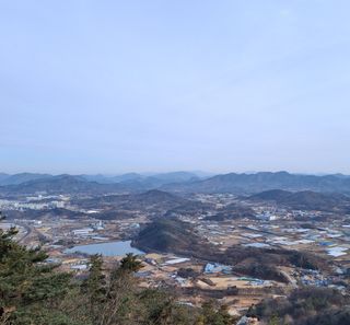 MSG0074님의 자유주제 · 자유게시판 작성글 사진