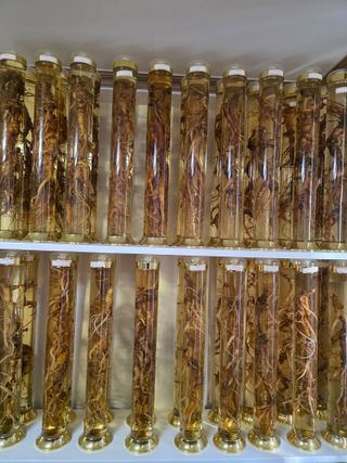 최도윤(중고농기계)님의 자유주제 · 자유게시판 작성글 사진