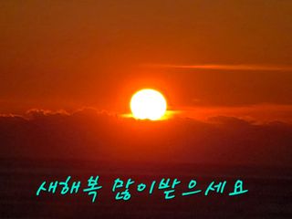 토마토17268님의 자유주제 · 자유게시판 작성글 사진