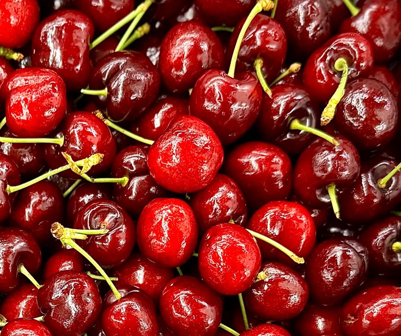 장터 상품 [[과일계의 다이아몬드] 새콤달콤한 맛, 왕체리 생체리 2.5kg] 썸네일