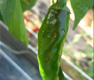 김수정님의 자유주제·자유게시판 작성글 사진