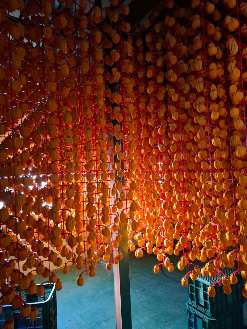 젊은농원 님의 장터 판매 상품 [영동곶감] 첨부 사진