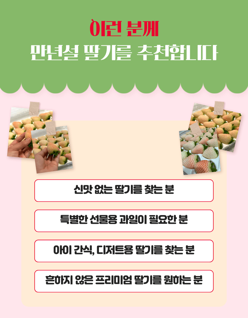 과일팩토리님의 장터 판매 상품 [[프리미엄 화이트딸기] 정품 만년설 딸기 400g/800g] 첨부 사진