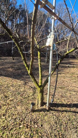 시연아빠님의 자유주제 · 자유게시판 작성글 사진