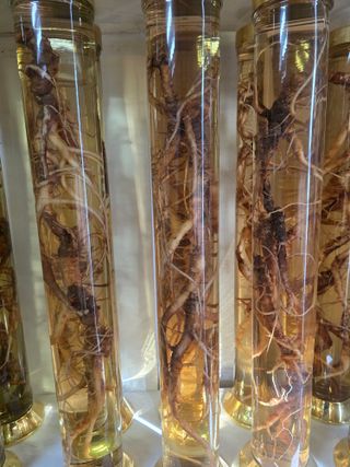 최도윤(중고농기계)님의 자유주제 · 자유게시판 작성글 사진