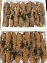 팜모닝 자유주제·자유게시판 게시글 이미지