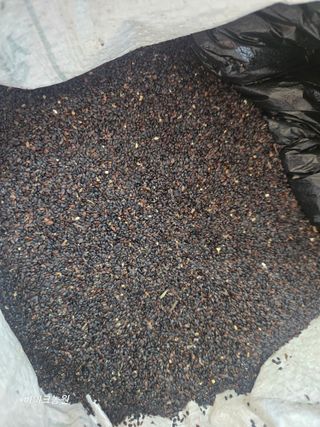 팜모닝회원 바이크농원님의 자유주제 · 자유게시판 작성글 사진