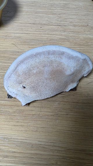 사과10171님의 자유주제 · 자유게시판 작성글 사진