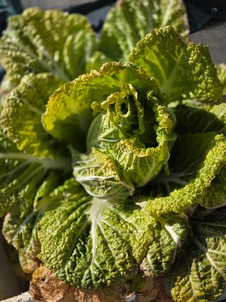 백현호님의 자유주제 · 자유게시판 작성글 사진