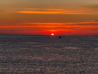 박진규님의 자유주제 · 자유게시판 작성글 사진