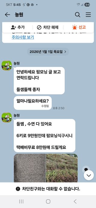 손윤영/수채화농원님의 자유주제 · 자유게시판 작성글 사진