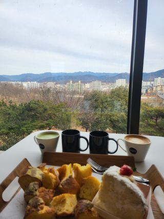 꿀복이농장님의 자유주제 · 자유게시판 작성글 사진