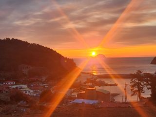 신연주님의 자유주제 · 자유게시판 작성글 사진
