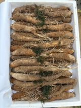 농장주되는게꿈님의 자유주제·자유게시판 작성글 사진