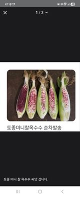 팜모닝 자유주제·자유게시판 게시글 이미지