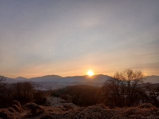 MSG0074님의 자유주제 · 자유게시판 작성글 사진