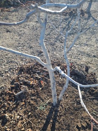 김용대님의 자유주제 · 자유게시판 작성글 사진