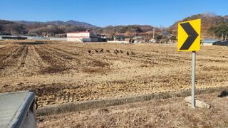 김준한님의 자유주제 · 자유게시판 작성글 사진