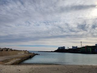 꿀복이농장님의 자유주제 · 자유게시판 작성글 사진
