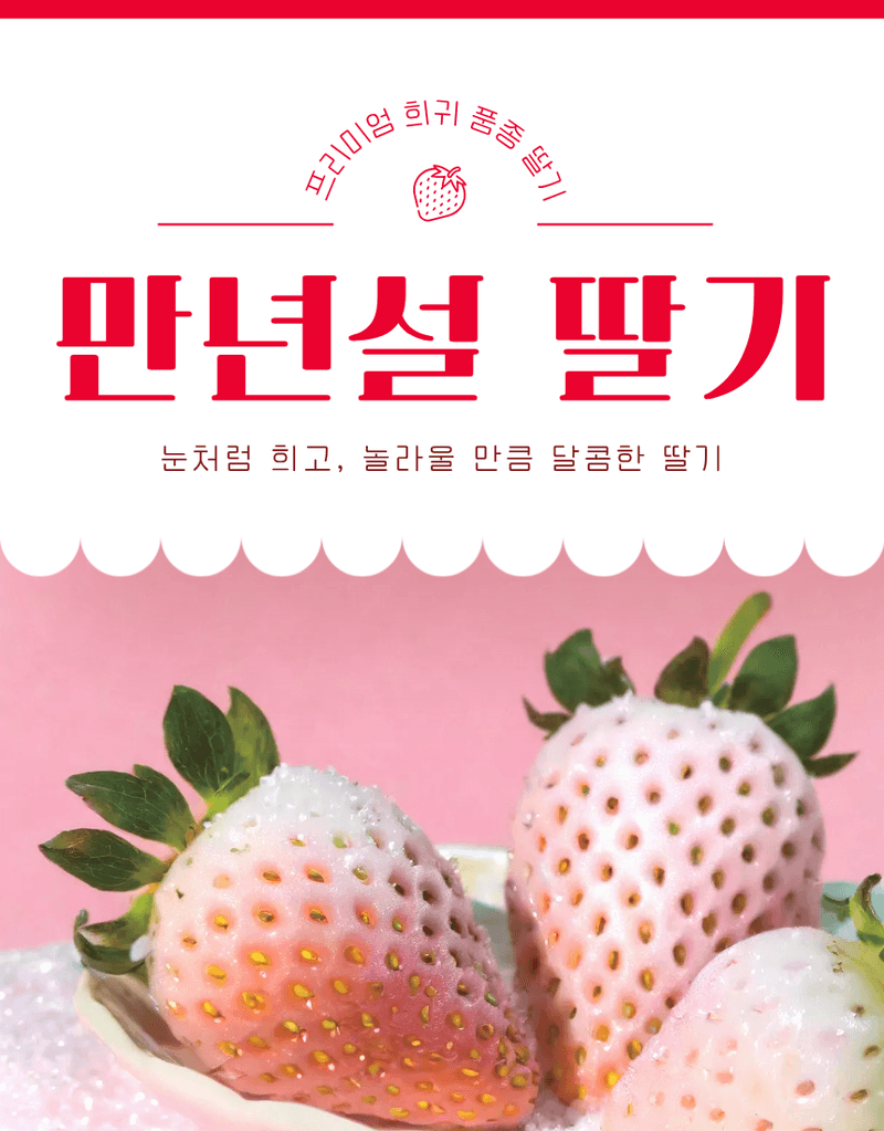 과일팩토리님의 장터 판매 상품 [[프리미엄 화이트딸기] 정품 만년설 딸기 400g/800g] 첨부 사진