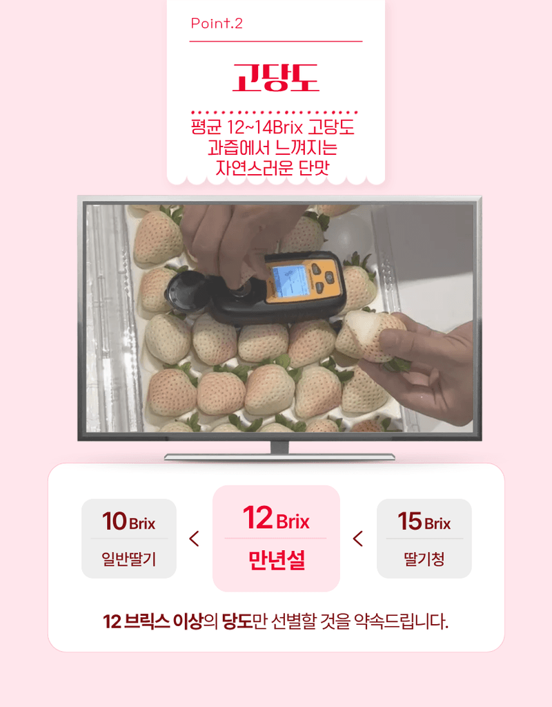 과일팩토리님의 장터 판매 상품 [[프리미엄 화이트딸기] 정품 만년설 딸기 400g/800g] 첨부 사진