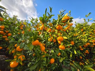 Captain김상곤님의 자유주제 · 자유게시판 작성글 사진