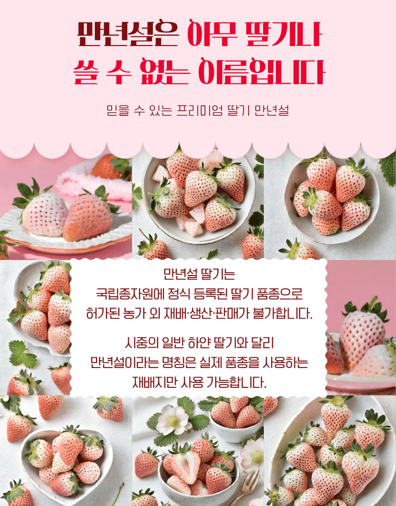 과일팩토리님의 장터 판매 상품 [[프리미엄 화이트딸기] 정품 만년설 딸기 400g/800g] 첨부 사진