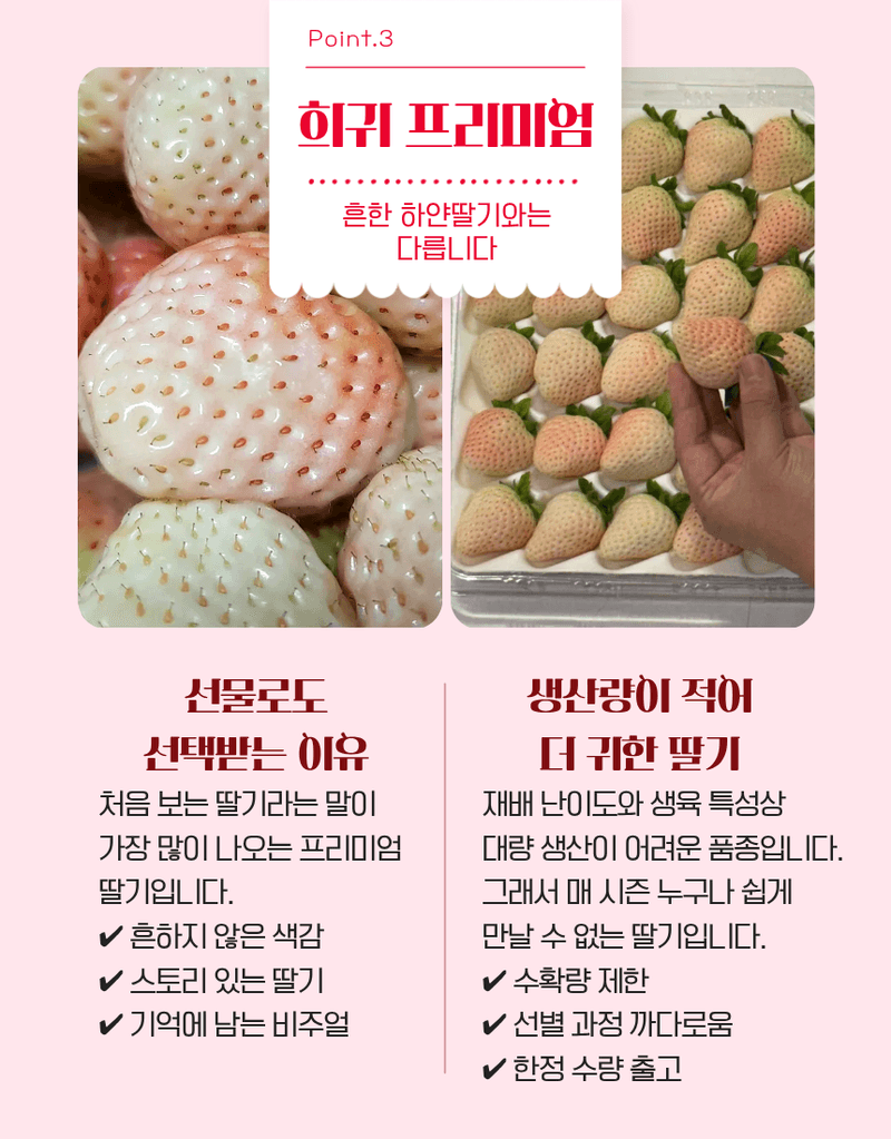 과일팩토리님의 장터 판매 상품 [[프리미엄 화이트딸기] 정품 만년설 딸기 400g/800g] 첨부 사진