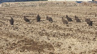 김준한님의 자유주제 · 자유게시판 작성글 사진