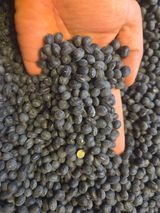 팜모닝 · 게시글 이미지