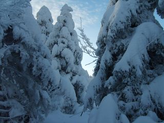 제주농부님의 자유주제 · 자유게시판 작성글 사진