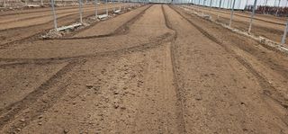 뿌리묘목농원님의 자유주제 · 자유게시판 작성글 사진