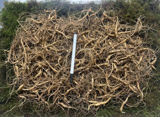 진상빈님의 작성글 사진