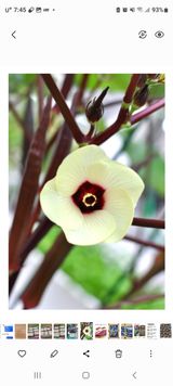 팜모닝 · 게시글 이미지