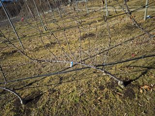 정석도님의 자유주제 · 자유게시판 작성글 사진