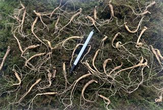 진상빈님의 작성글 사진