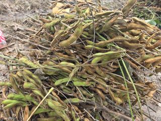 이은호님의 작성글 사진