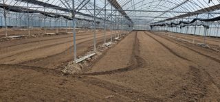 뿌리묘목농원님의 자유주제 · 자유게시판 작성글 사진