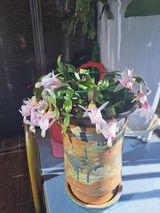 팜모닝 자유주제·자유게시판 게시글 이미지